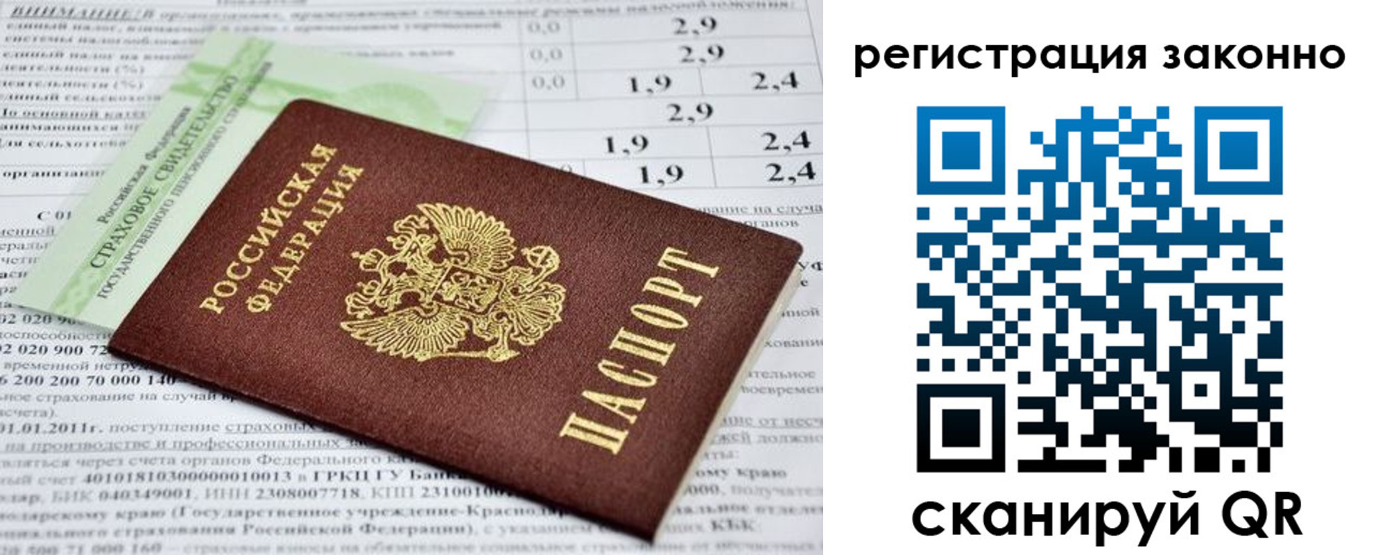 прописка поиск в Сельцо